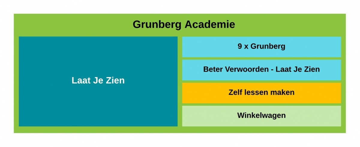 Grunberg Academie.jpeg